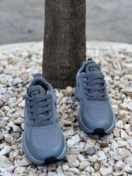 Nike zoom PEGASUS