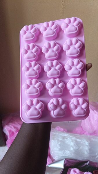 Moule Silicone Patte