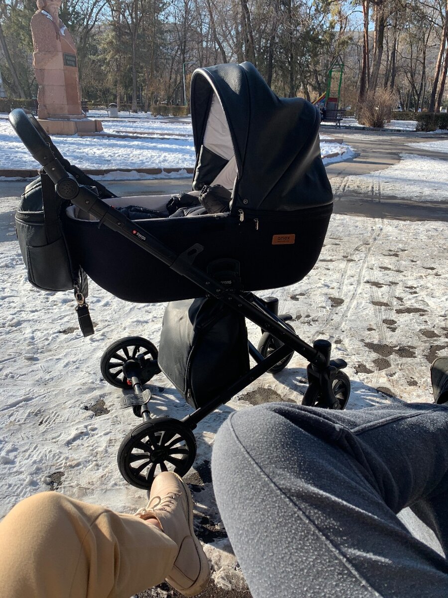 Коляска Anex