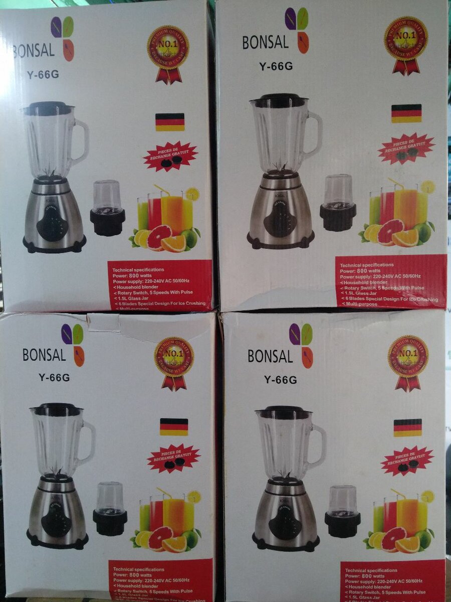 Mixeur Bonsal Y-66G Puissant