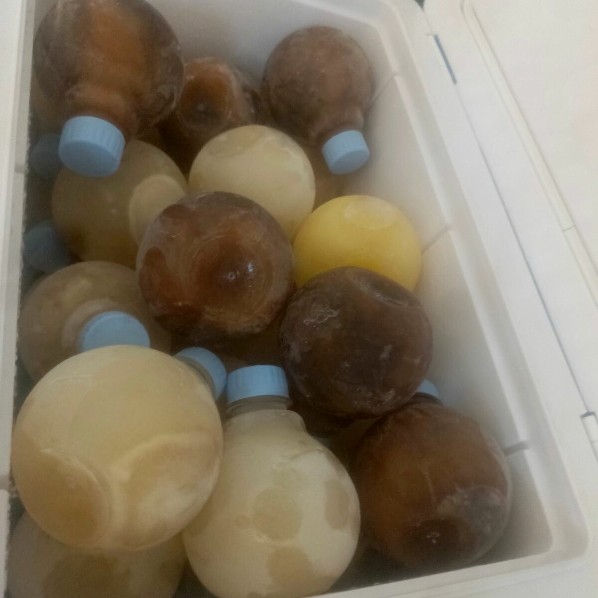 Jus de Fruits Naturels