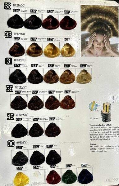 Bremod Hair Color 100mlTube+100ml Volume All Shade Available