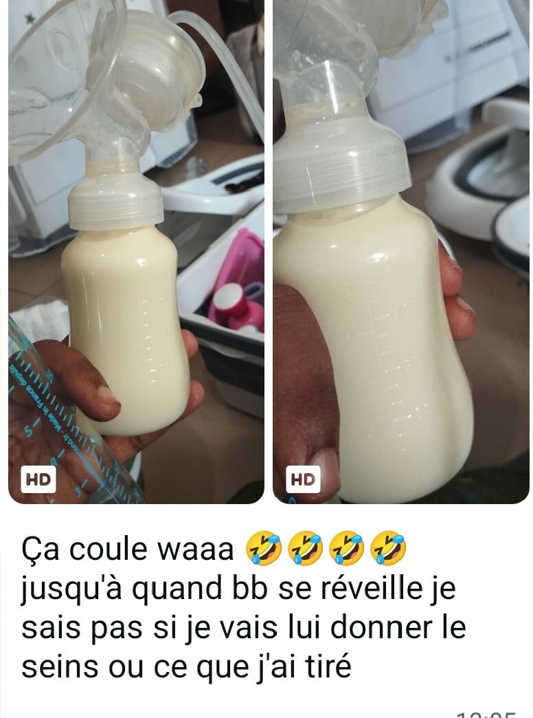 Mix Lactation MamLait