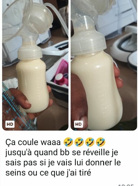 Mix Lactation MamLait