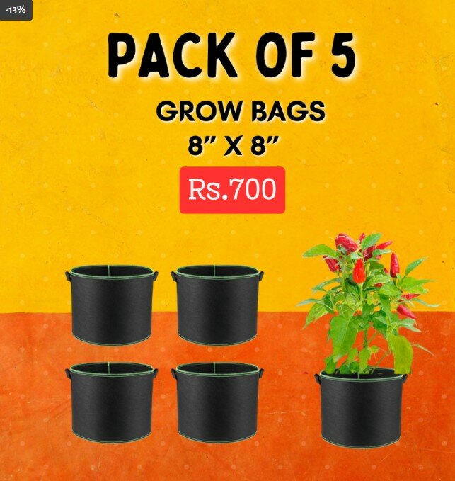 Grow Bags Deal-2 (Pack of 5, 8”x8), with Two Handles