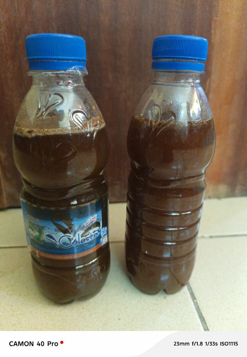 Boisson naturelle rafraîchissante