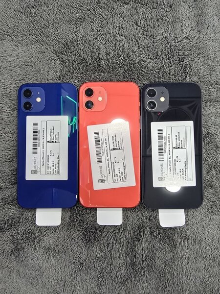 iPhones 12 Variété Couleurs