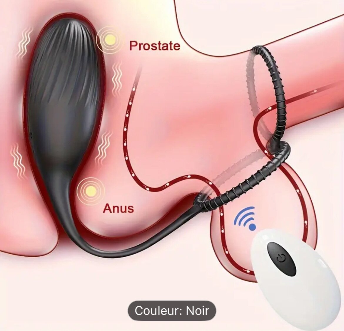 Masseur Anal & Anneau Vibrant