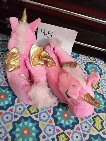 Ladies slippers