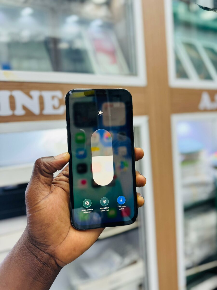 iPhone 12 Pro Max Bleu