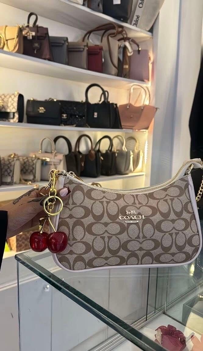 Sac à main Coach élégant