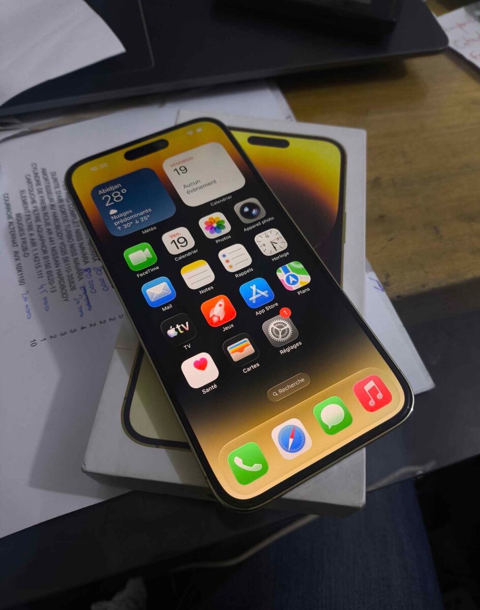 iPhone 14 Pro Max doré 256GB