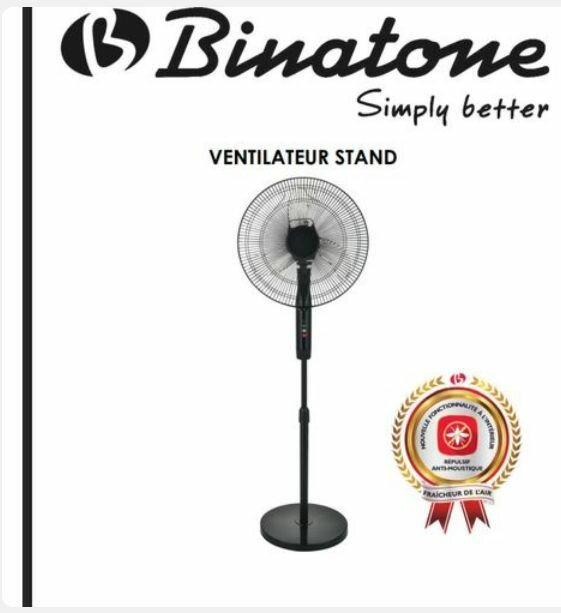 Ventilateur Pied Binatone