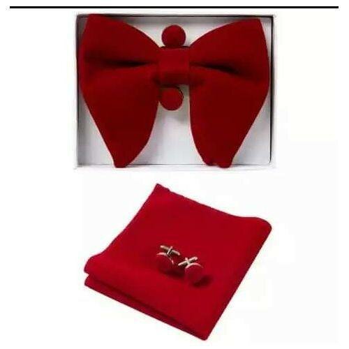 Noeud papillon rouge élégant