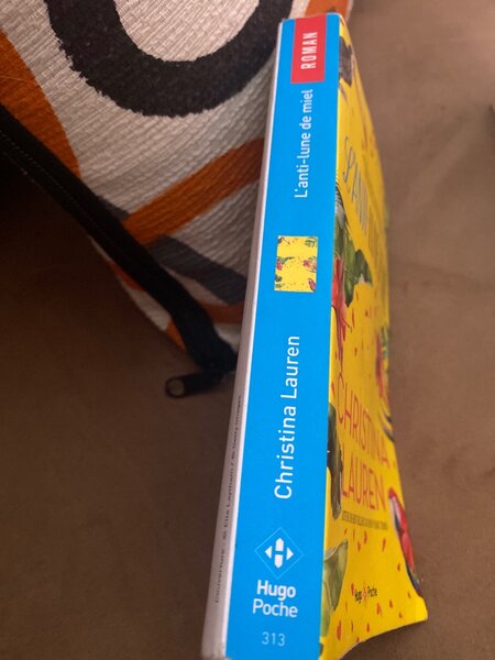 L'anti-lune de miel - Roman