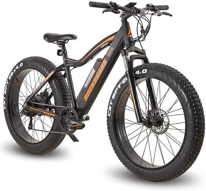 Vélo électrique fat bike tout-terrain