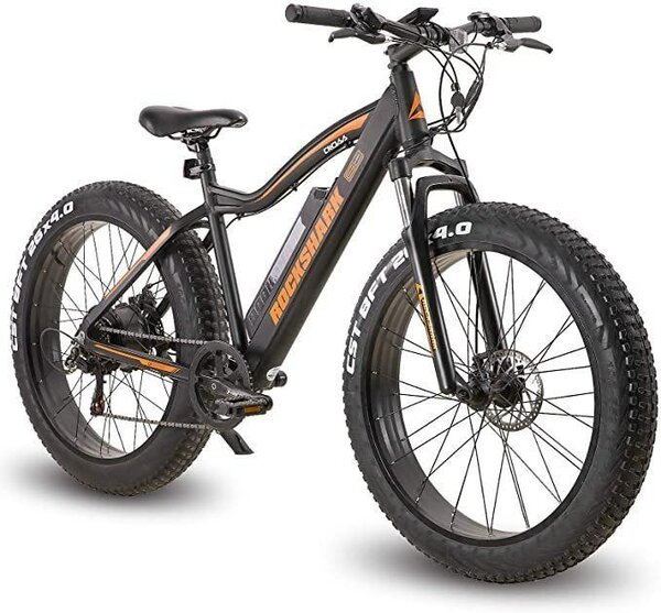 Vélo électrique fat bike tout-terrain