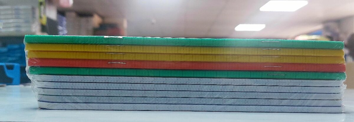 Cahier Trio Polypro 100 Pages