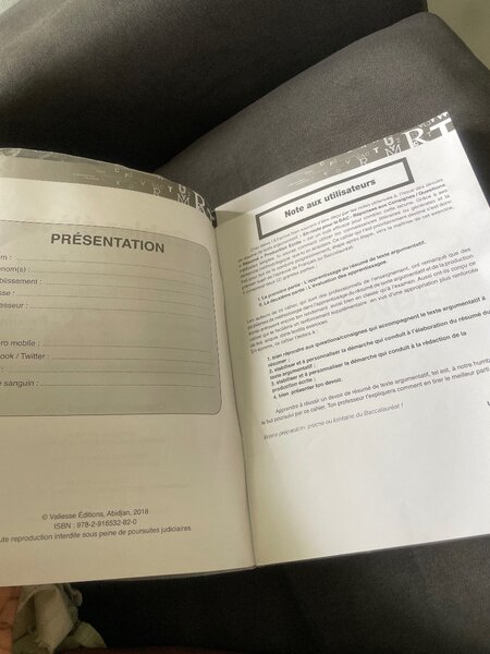 Cahier Résumé Texte BAC