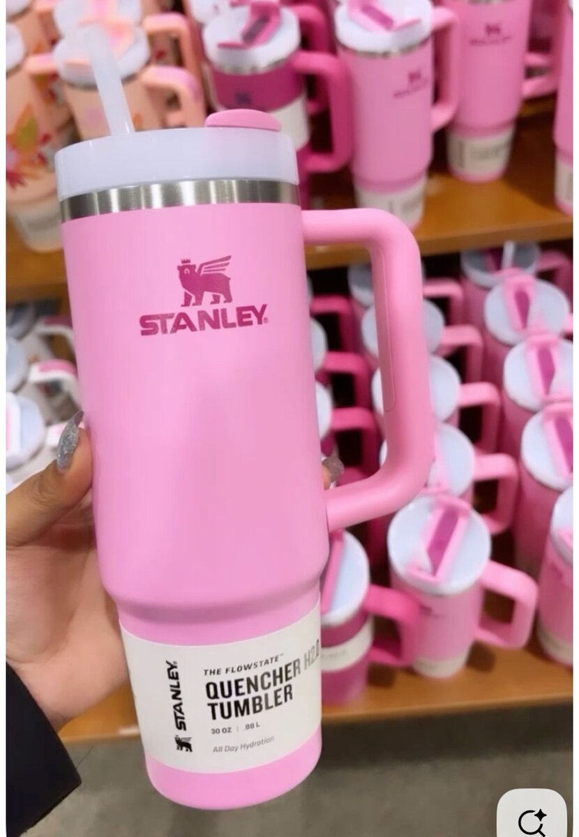 Gourde Stanley Quencher Rose