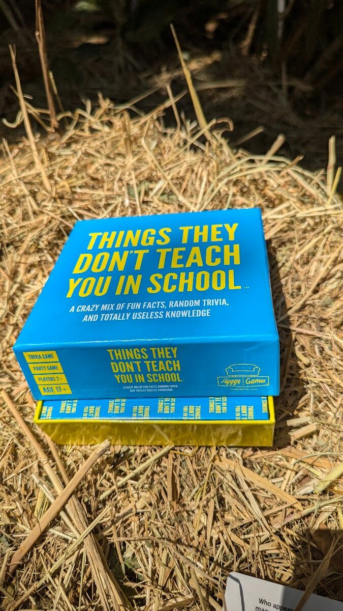 Things they don't teach you in school