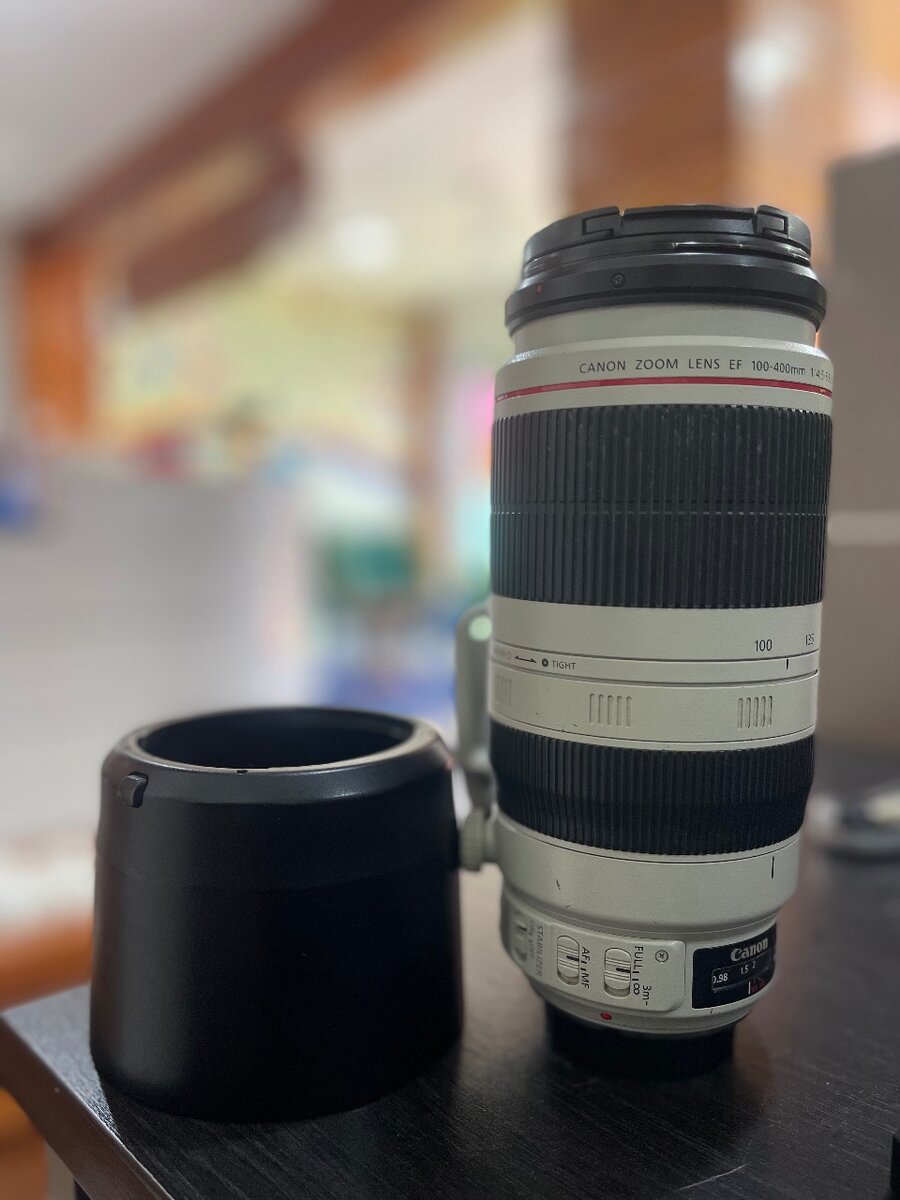 Canon Ef 100-400mm F/5.6l IS Li Usm Zoom Lens