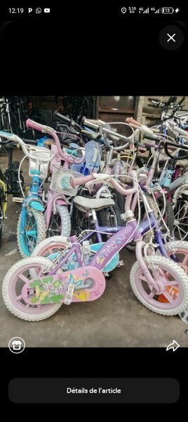 Vélo Enfant Coloré 12"
