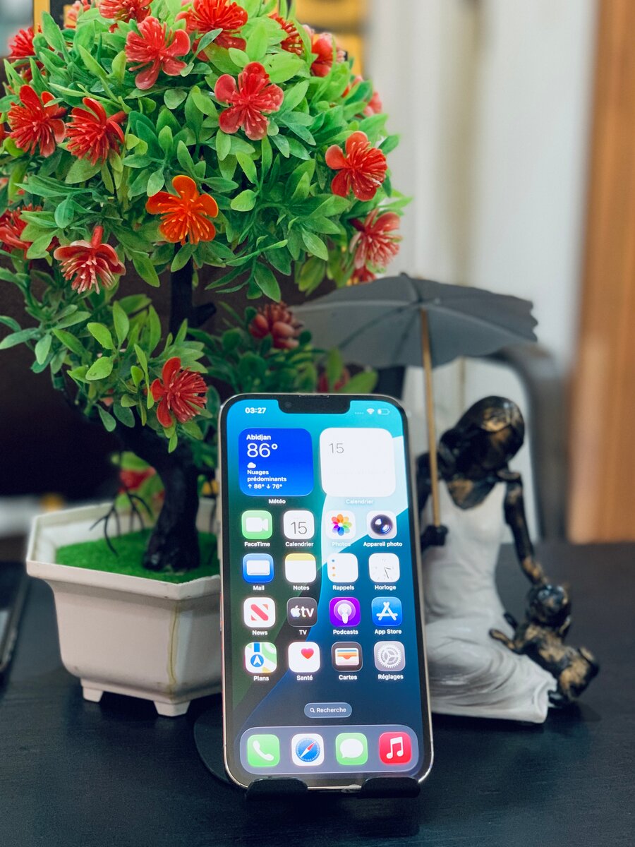 iPhone 13 Pro Max 128Go