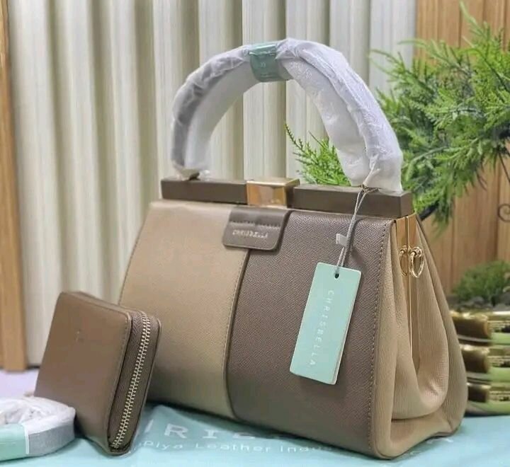 Sac à main élégant cuir