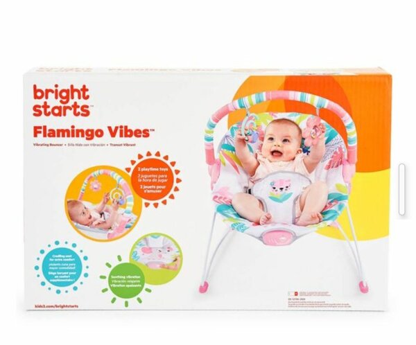 Brights Starts Baby rocker