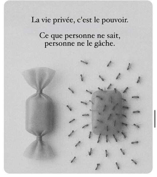 𝖐𝖍𝖆𝖑𝖎𝖑 boomslang 🛍️