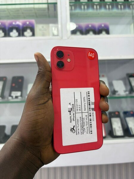 iPhone 11 casi