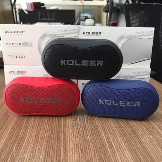 Enceinte KOLEER S29