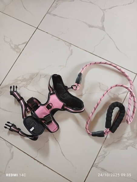 Harnais Rose pour Chiens