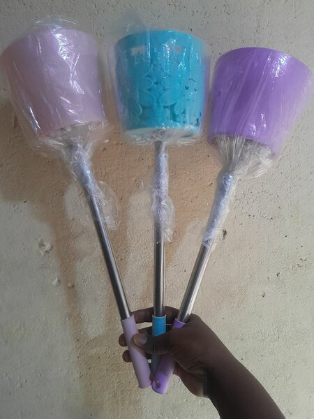 Brosses de Toilettes Colorées