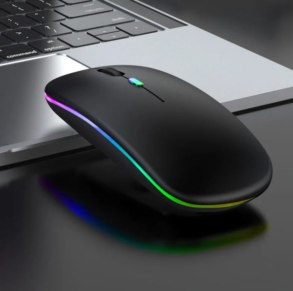 Souris sans fil RGB ergonomique