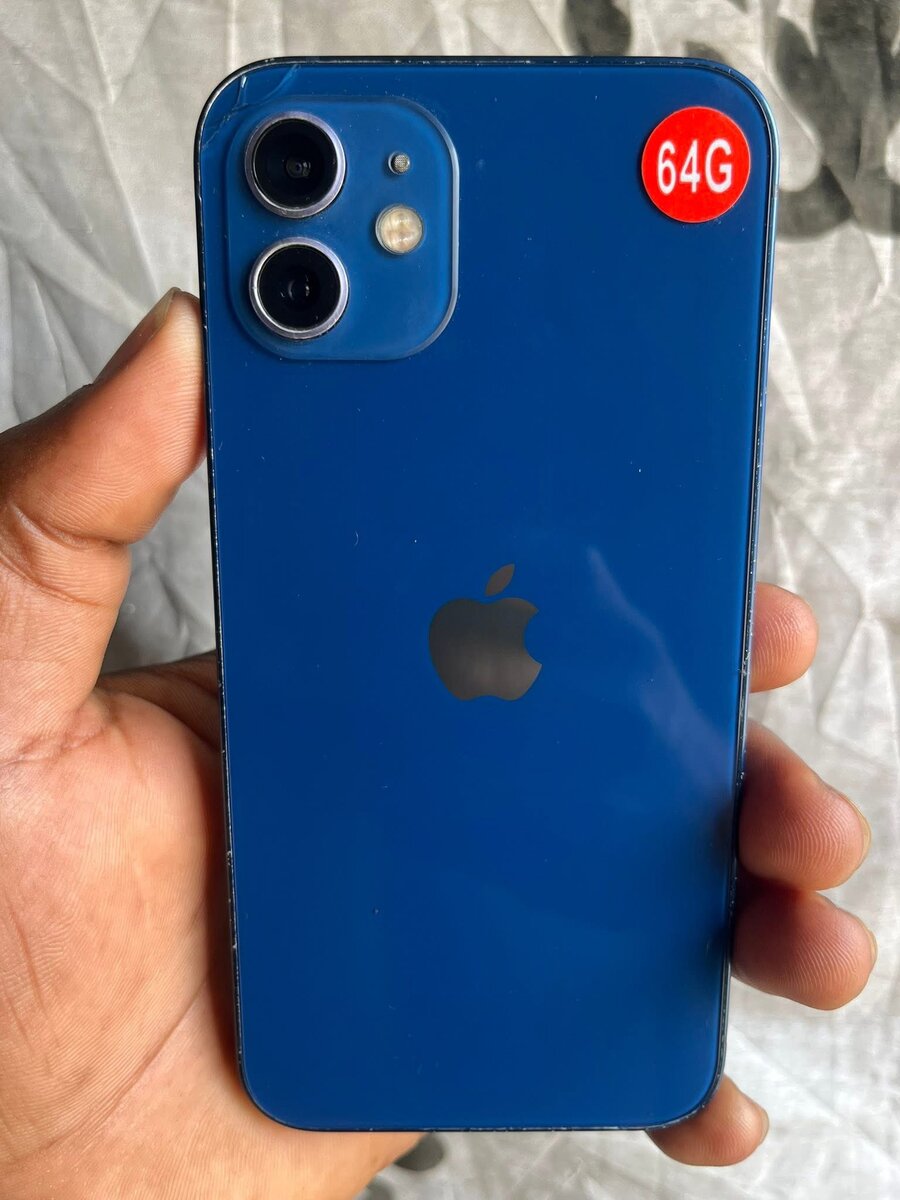 iPhone 64GB Bleu