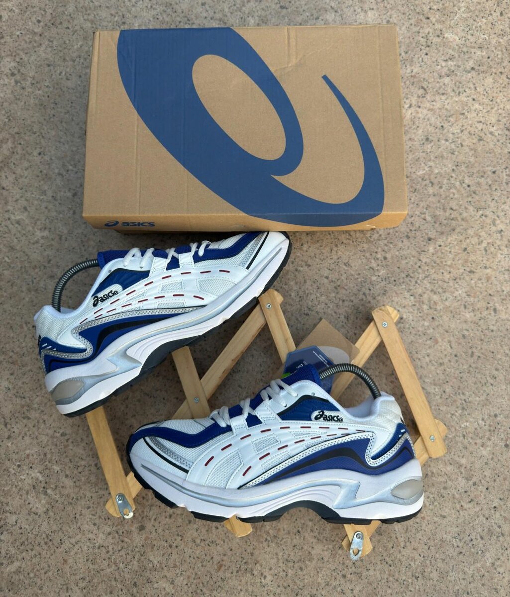 ASICS Baskets Mode Homme