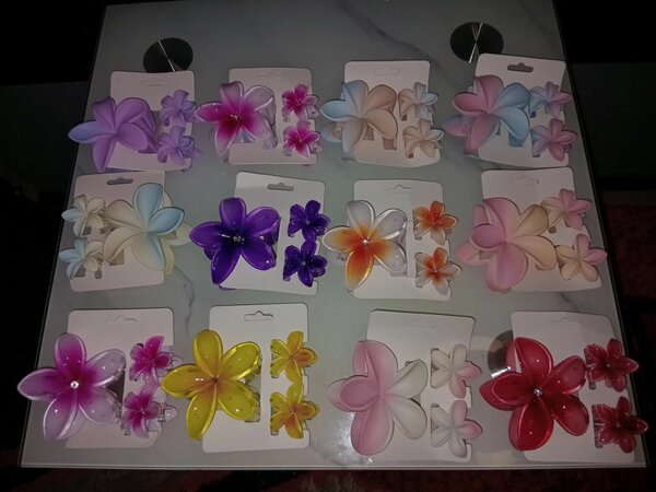 Barrettes fleurs colorées