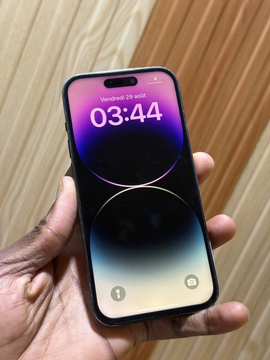 iPhone 14 Pro Max 256 Go