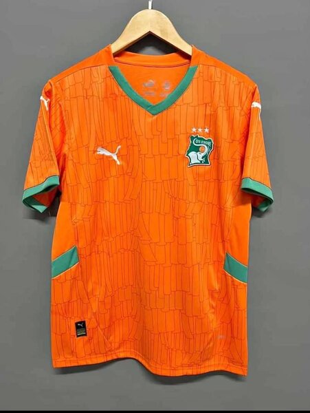 Maillot Côte d'Ivoire Puma
