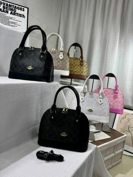 Ensemble de sacs élégants