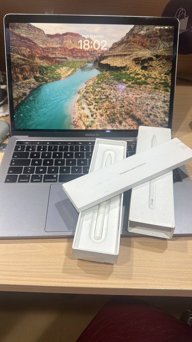 Stylet Apple Pencil pour iPad