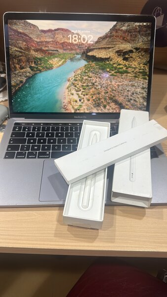 Stylet Apple Pencil pour iPad