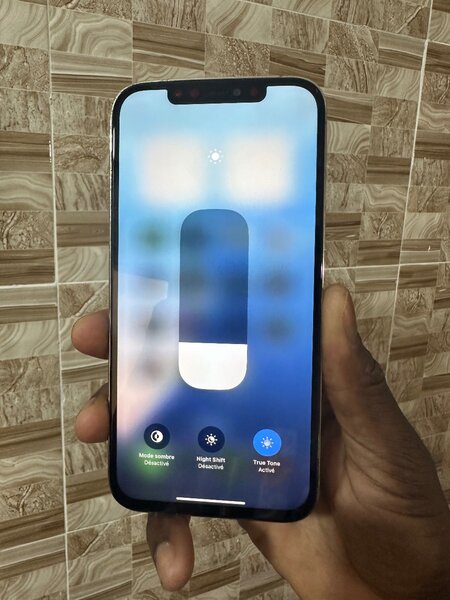 iPhone 12 Pro Max 256giga quasi neuf