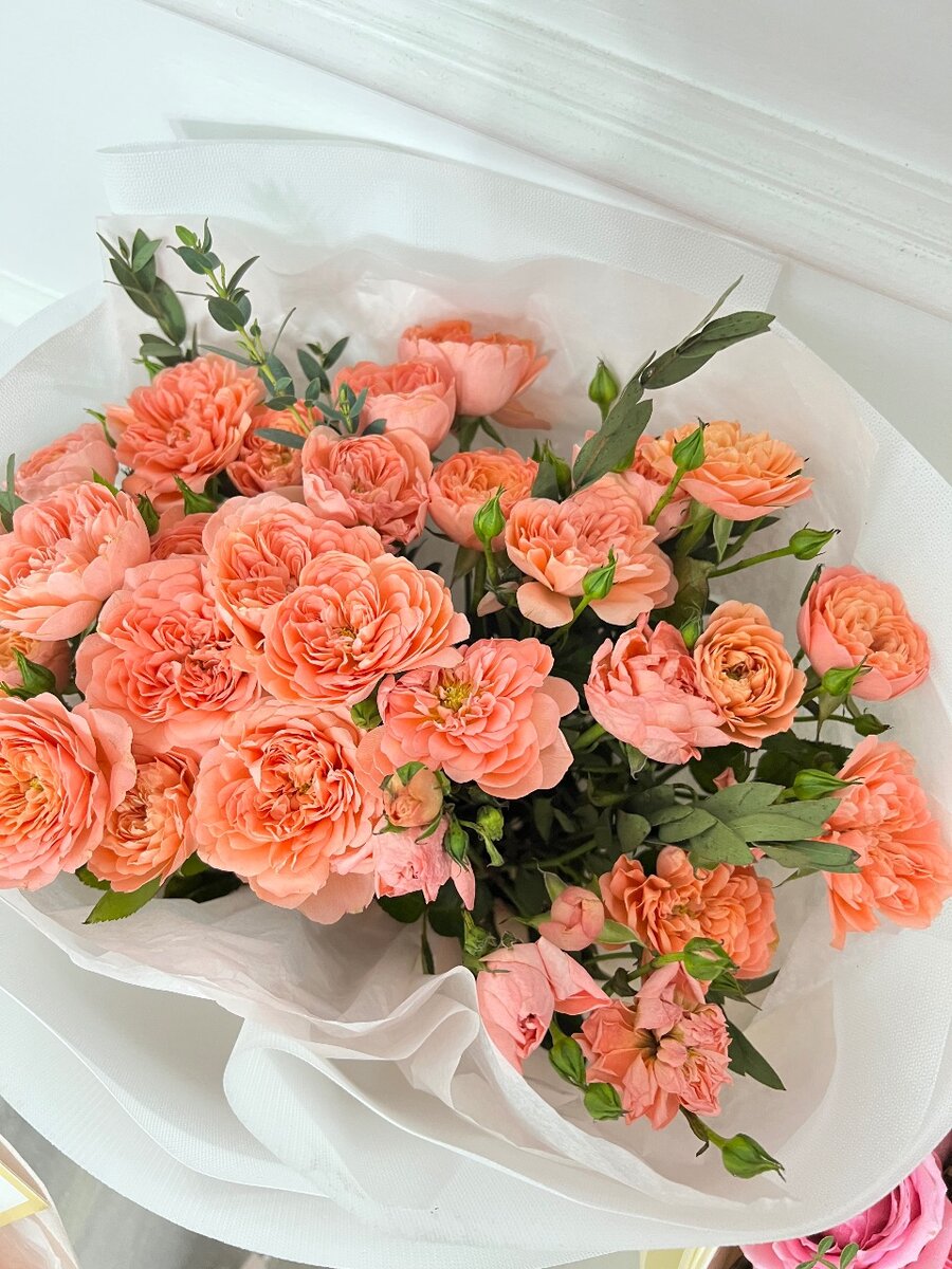 Персиковые розы