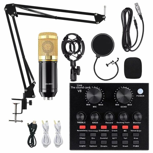 Professional condenser mic