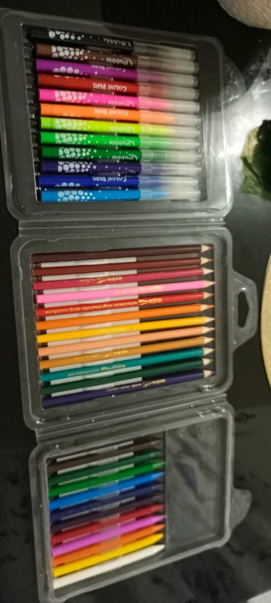 Crayons de couleur BIC Kids