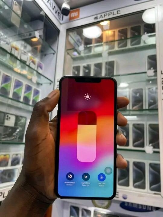 iPhone 11 Pro Max Gris