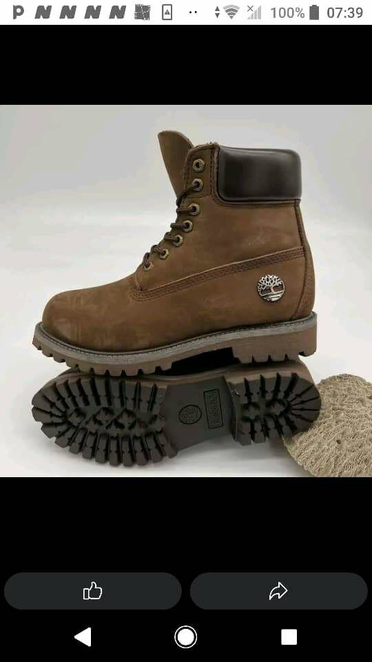 Timberland
